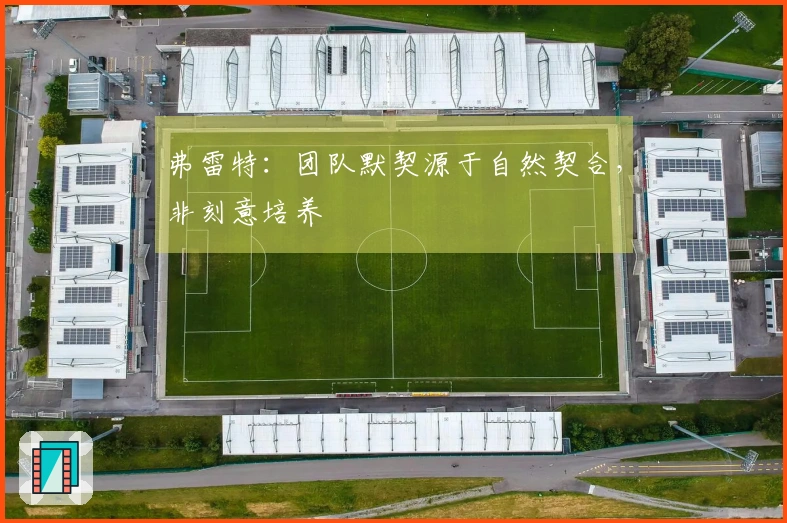 弗雷特：团队默契源于自然契合，非刻意培养