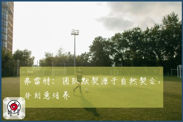 弗雷特：团队默契源于自然契合，非刻意培养